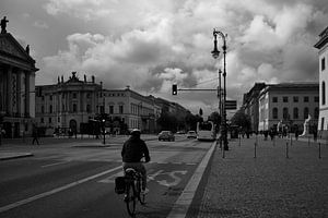 Unter den Linden van Iritxu Photos