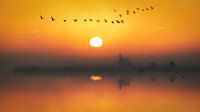 Sonnenaufgang auf den Davidsplassen