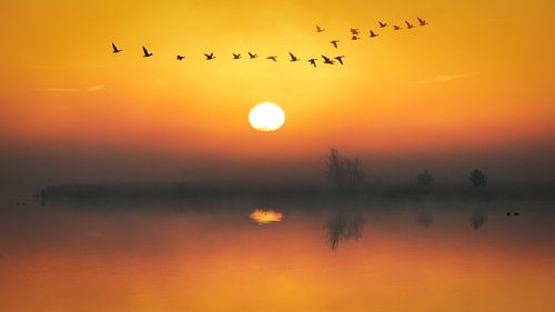 Zonsopkomst bij de Davidsplassen