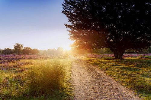 Westerheide Hilversum