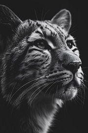 Impressive black-and-white close-up portrait of a leopard by Art & Soul Creations