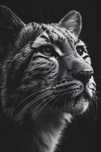 Beeindruckendes Schwarz-Weiß-Porträt eines Leoparden in Nahaufnahme von Art & Soul Creations