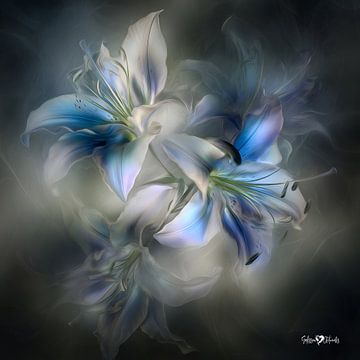 Blume in Blau von Gelissen Artworks