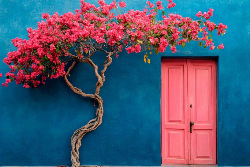 Flowering bougainvillea by Poster Art Shop