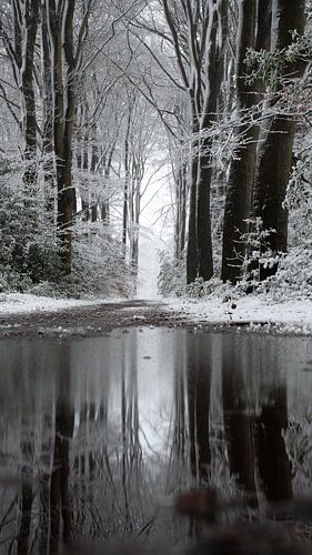 Sneeuw op de Veluwe met mooie spiegeling