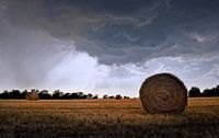 Toscaans landschap..... by Wim Schuurmans thumbnail