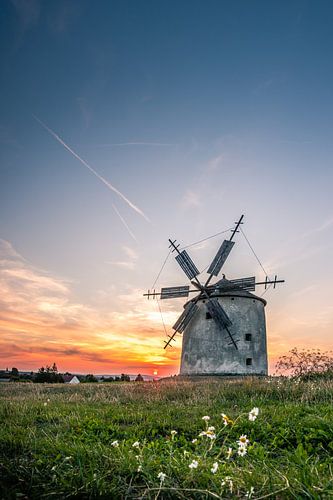 Grain mill in the sunset Tez Unagrn with flowers