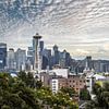 Seattle Skyline with Mount Rainier by Melanie Viola