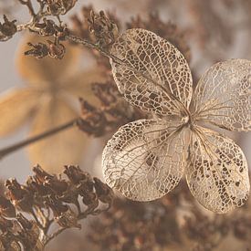 Panorama d'une scène rurale : Chaleur dans l'immobilité et la verveine sur Marjolijn van den Berg