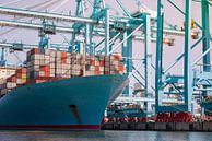Unloading a container ship in the port of Rotterdam by Elles Rijsdijk thumbnail