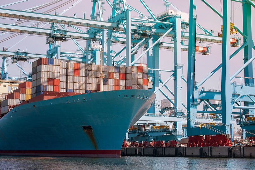 Unloading a container ship in the port of Rotterdam by Elles Rijsdijk