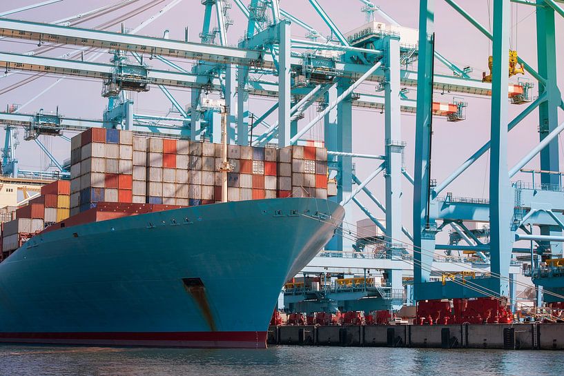 Het lossen van een containership in de haven van Rotterdam van Elles Rijsdijk