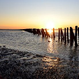 Das Wattenmeer 6 von Folbert Nicolai