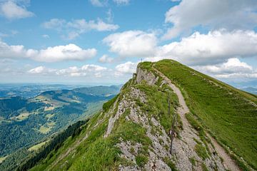 Uitzicht op de Hochgrat in de zomer van Leo Schindzielorz