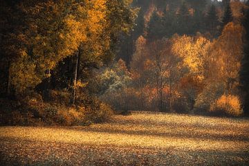 Der Herbst ist in vollem Gange von Marc Hollenberg