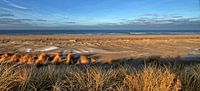 Nederlandse kust bij Camperduin januari 2017 von Bert Westendorp Miniaturansicht