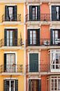 [mallorquin] ... windows to Palma von Meleah Fotografie Miniaturansicht
