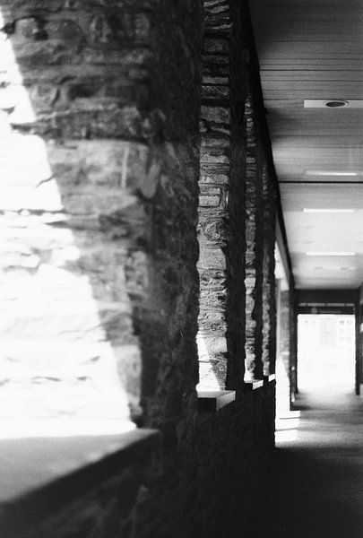 The Sunny Empty Lane by Iris Fitsch
