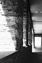 The Sunny Empty Lane by Iris Fitsch thumbnail