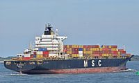Containerschip MSC Sao Paulo van Piet Kooistra thumbnail