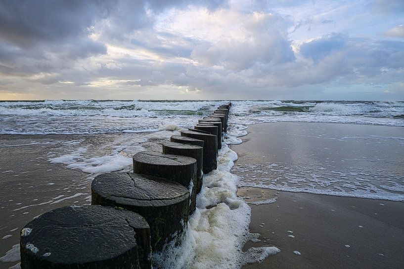 Kribben die in de Oostzee reiken in Zingst. van Martin Köbsch