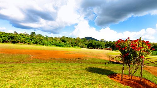 The nature reserve is located on the Kabalebo river in the western region of Suriname