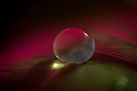 druppel water van didier galibert