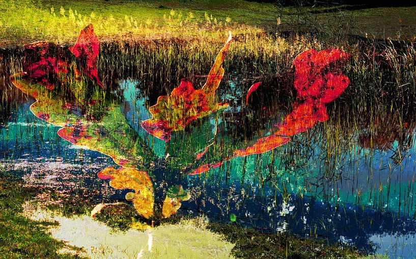 kleurrijk landschap van CreaBrig Fotografie