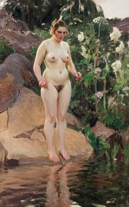 femme nue, fleur de l'archipel, Anders Zorn - 1916 sur Atelier Liesjes