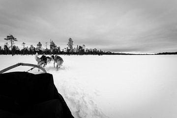 Sledehonden op bevroren meer by Merijn Koster
