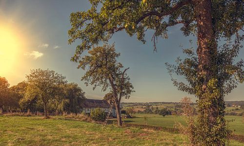 Nazomer in  de buurt van Mechelen in Zuid-Limburg