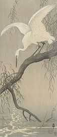 White heron on tree branch of Ohara Koson