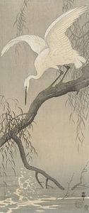 Weißer Reiher auf dem Ast des Ohara Koson