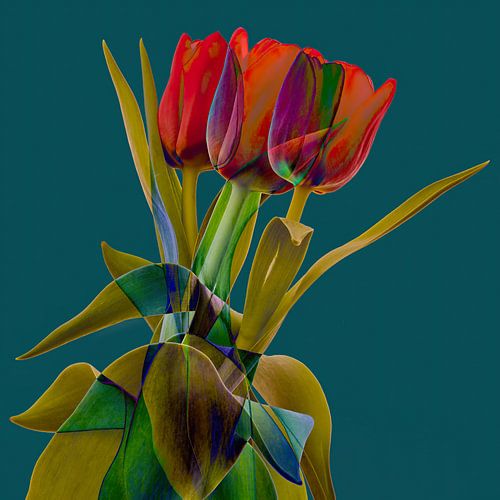 Tulpen  full color I