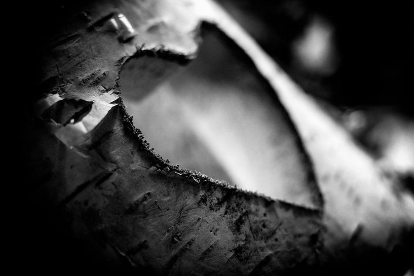 Coeur sculpté en bois de mélèze dans les couleurs noir et blanc par pixxelmixx