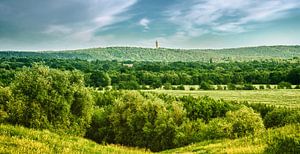 Berlin Grunewald