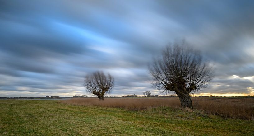 Stormachtige lucht boven een weiland in de vreugderijkerwaard. von Michel Knikker