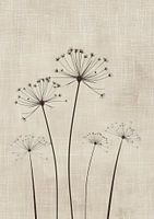 Peinture minimaliste de fleurs | Whisper Lines