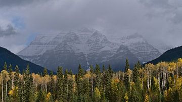 Mount Robson in de herfst van Timon Schneider