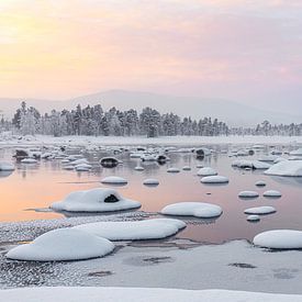 SPectaculaire paysage hivernal aux couleurs pastel en Laponie suédoise sur Krijn van der Giessen