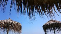 Zomer