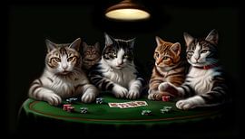 Stochernde Katzen Porträtpanorama von TheXclusive Art