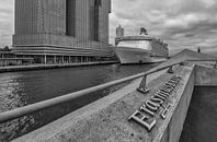 Harmony of the Seas in Rotterdam by Eus Driessen thumbnail