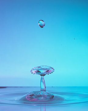 Water drops #1 van Marije Rademaker