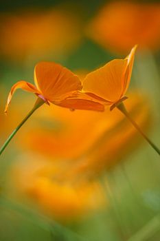 love & hugs