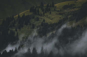 When the light touches the hillside