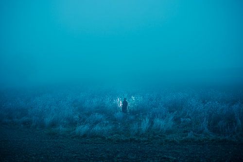 Character in a misty blue landscape