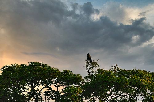 An der Spitze der Welt