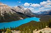 Felblauw Peyto Lake in Canada van Eveline Dekkers thumbnail