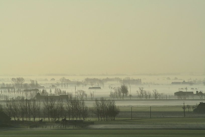 Cow mist across the polder plain  by Johan Töpke
